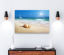 Obraz na stenu do spálne Mušľa na piesočnatej pláži 